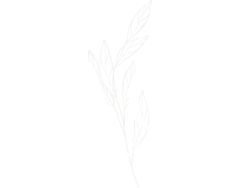 SAGE Catering & Baked Goods Site Logo