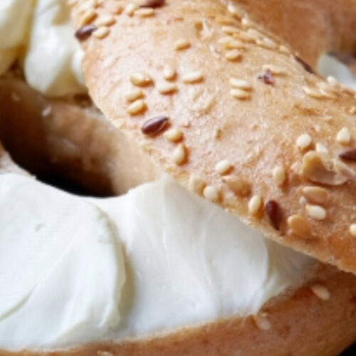 Bagel - JCC Camp